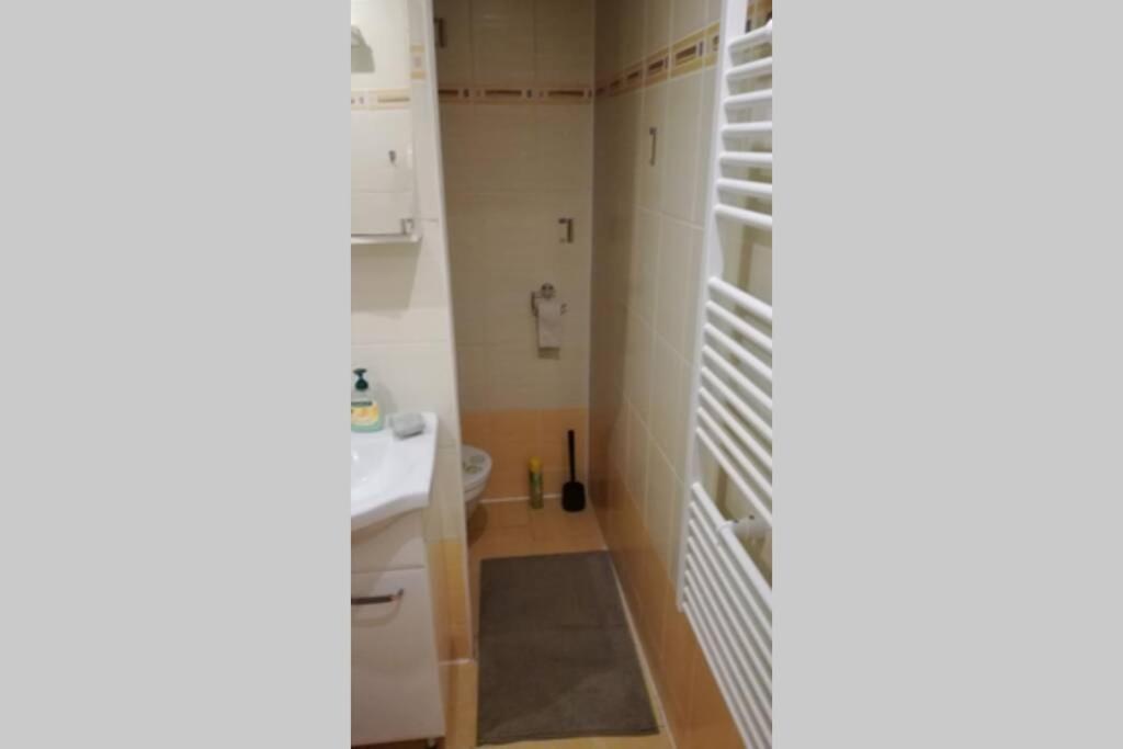 Apartment Flat3 With 2bedrooms Wifi Ostrava